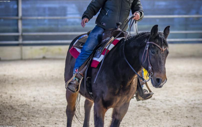 那件被地铁扶手磨亮的牛仔夹克，正在替我们投票