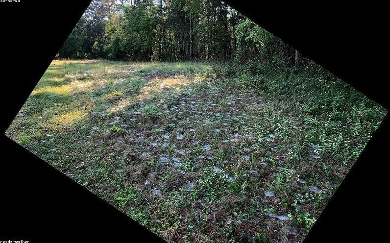 2026年春天，HR在裁员系统里点错了‘保留’——结果全公司集体转行养菌丝