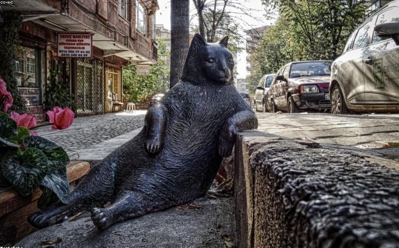 2026年3月,我删掉了简历里的‘稳定性’——春招现场,HR在用脑机接口筛人