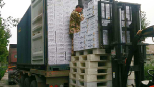 发货9：开启高效物流新征程，畅享便捷购物体验