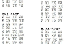 号的拼音组词全解析：探索丰富多样的语言组合奥秘