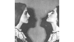 探秘饕餮：号虎食之字背后的神秘传说与文化寓意