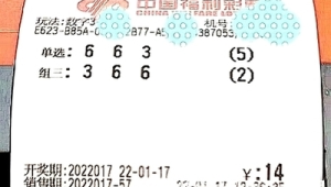 555125中国彩吧3d图库：探寻精彩，领略独特魅力