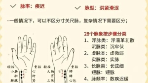 把脉入门36个口诀:开启中医脉象探索的实用指南