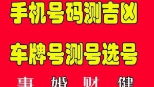 号令天下测号免费开启，畅享便捷无需等待！