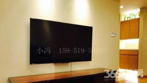 5551536：那些交织着回忆、情感与未知的独特数字世界