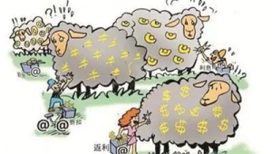 疯狂薅80后羊毛：那些不为人知却超有效的独特攻略大揭秘