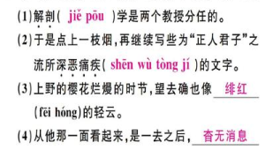 号的奇妙拼音之旅：探索发音、用法与文化内涵